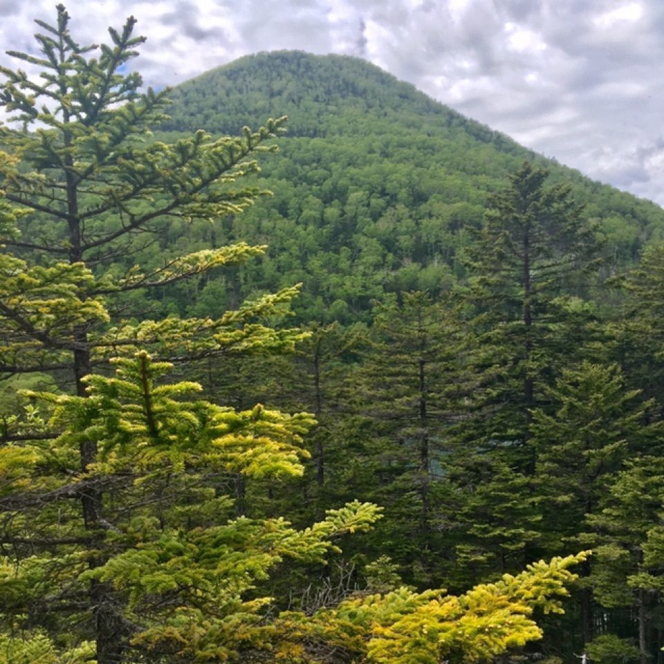 yoshiさんが投稿した駒止湖に関する口コミの画像
