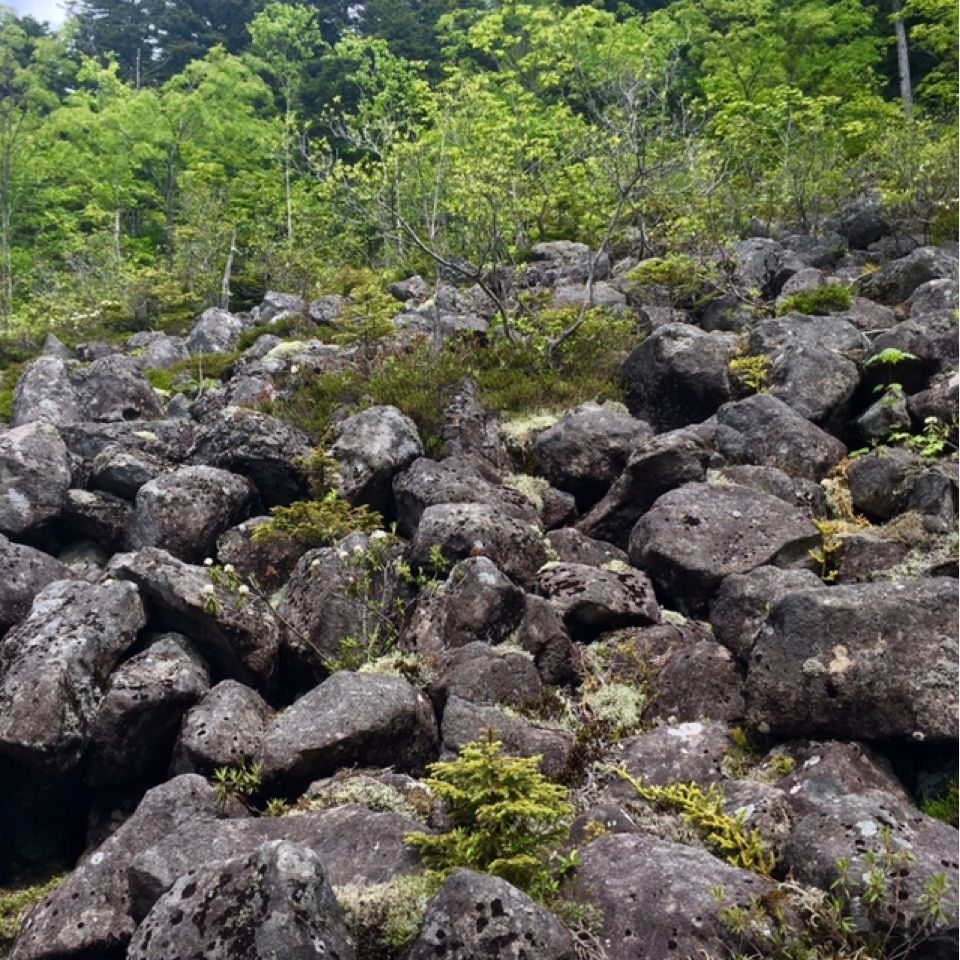 yoshiさんが投稿した駒止湖に関する口コミの画像