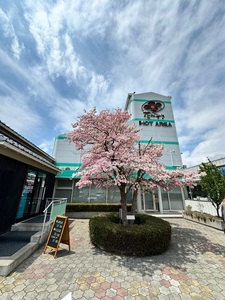 施設画像