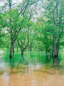 白川湖