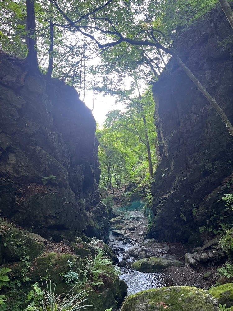 Renさんが投稿した棒ノ嶺に関する口コミの画像