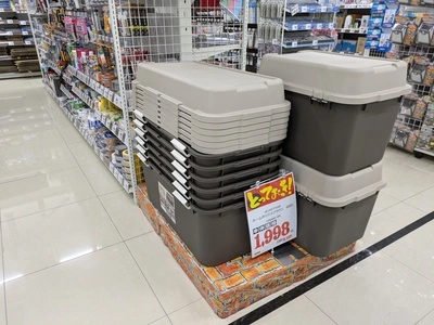 中尊寺ハス