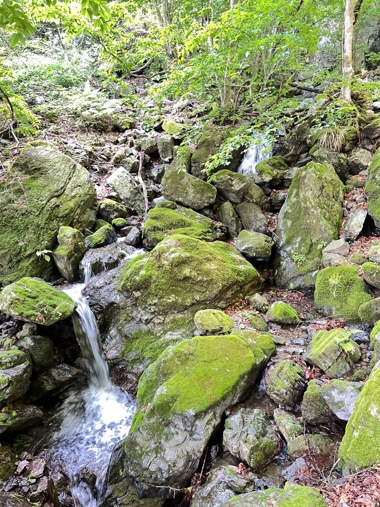 Renさんが投稿した棒ノ嶺に関する口コミの画像