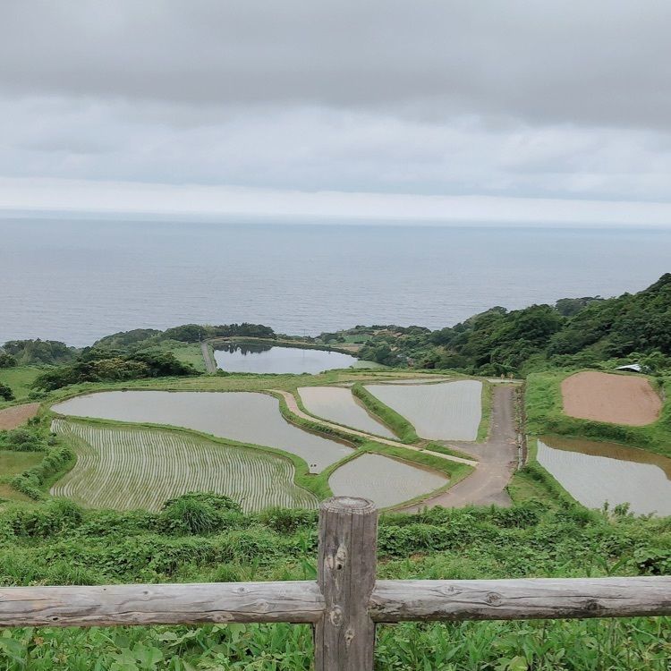 mimiさんが投稿した画像の画像