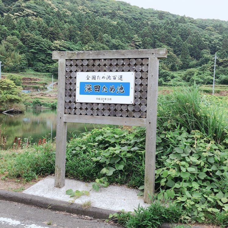 mimiさんが投稿した画像の画像