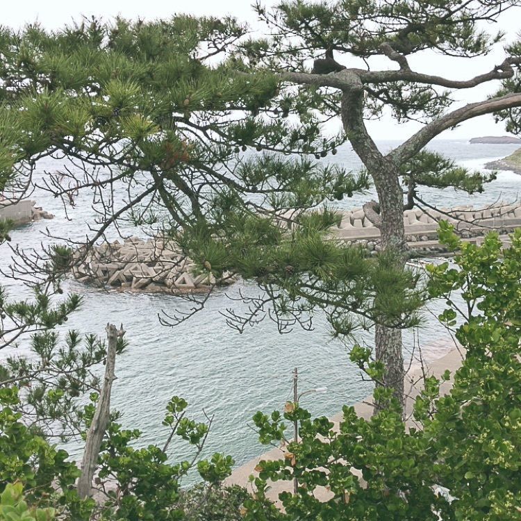 mimiさんが投稿した画像の画像