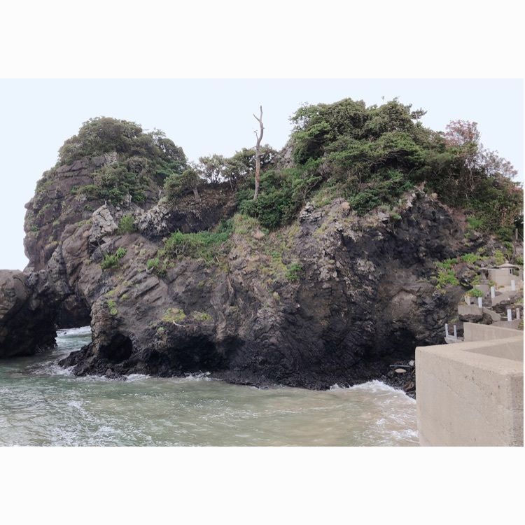 mimiさんが投稿した画像の画像