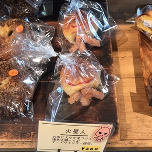広瀬やな（愛知県豊田市）