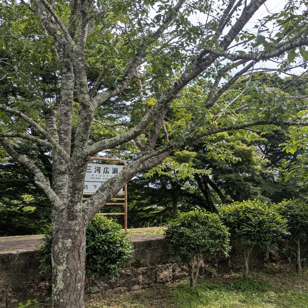 ひびきさんが投稿した広瀬やな（愛知県豊田市）に関する口コミの画像