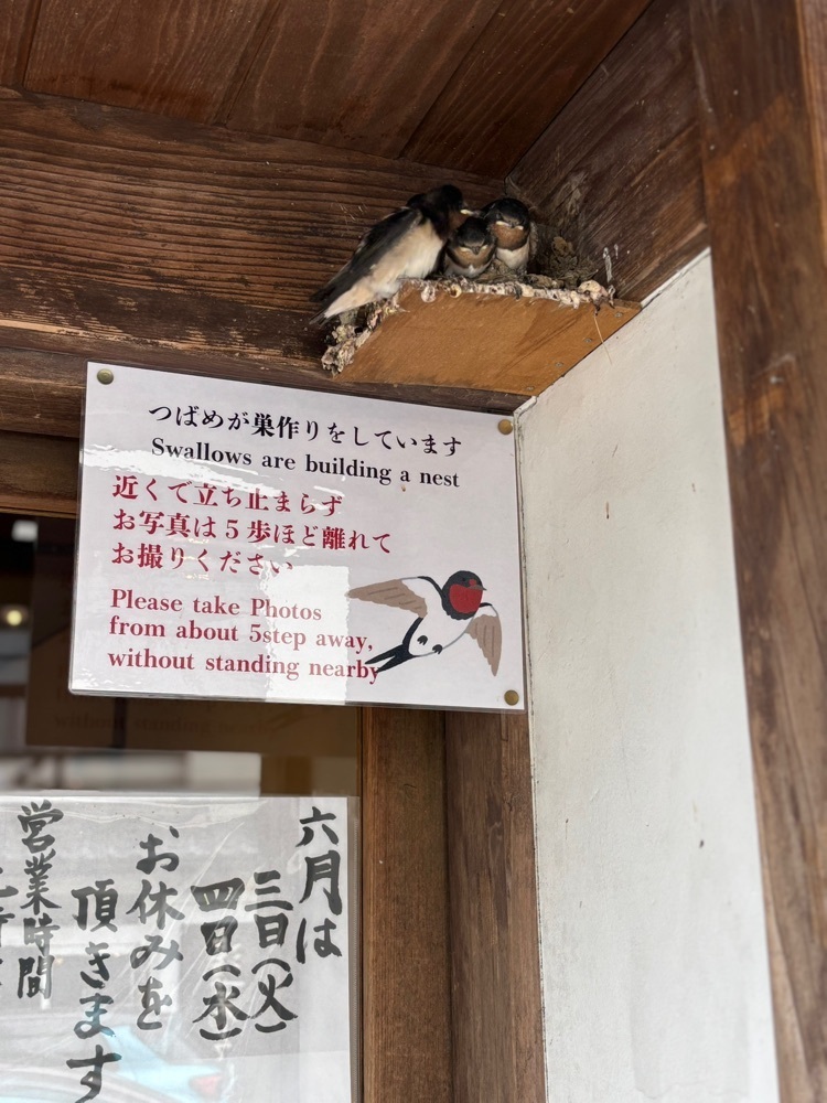 それなはとけさんが投稿したちもとに関する口コミの画像