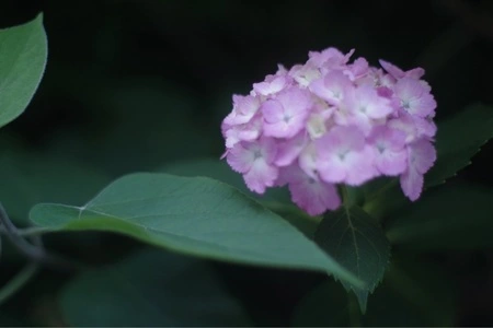 北山公園（東京都東村山市）