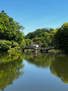 町田薬師池公園四季彩の杜 薬師池(薬師池公園)