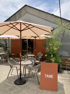 Tane（タネ）