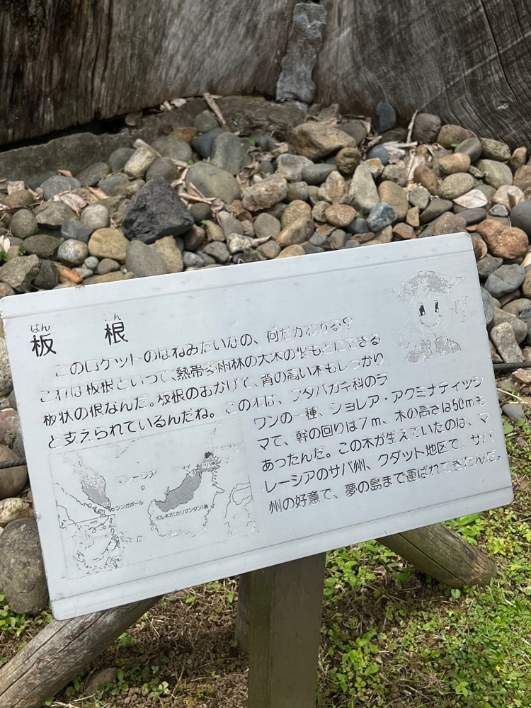 🤎アイヒンまま🤎さんが投稿した東京都夢の島熱帯植物館に関する口コミの画像