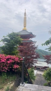 総本山 本福寺
