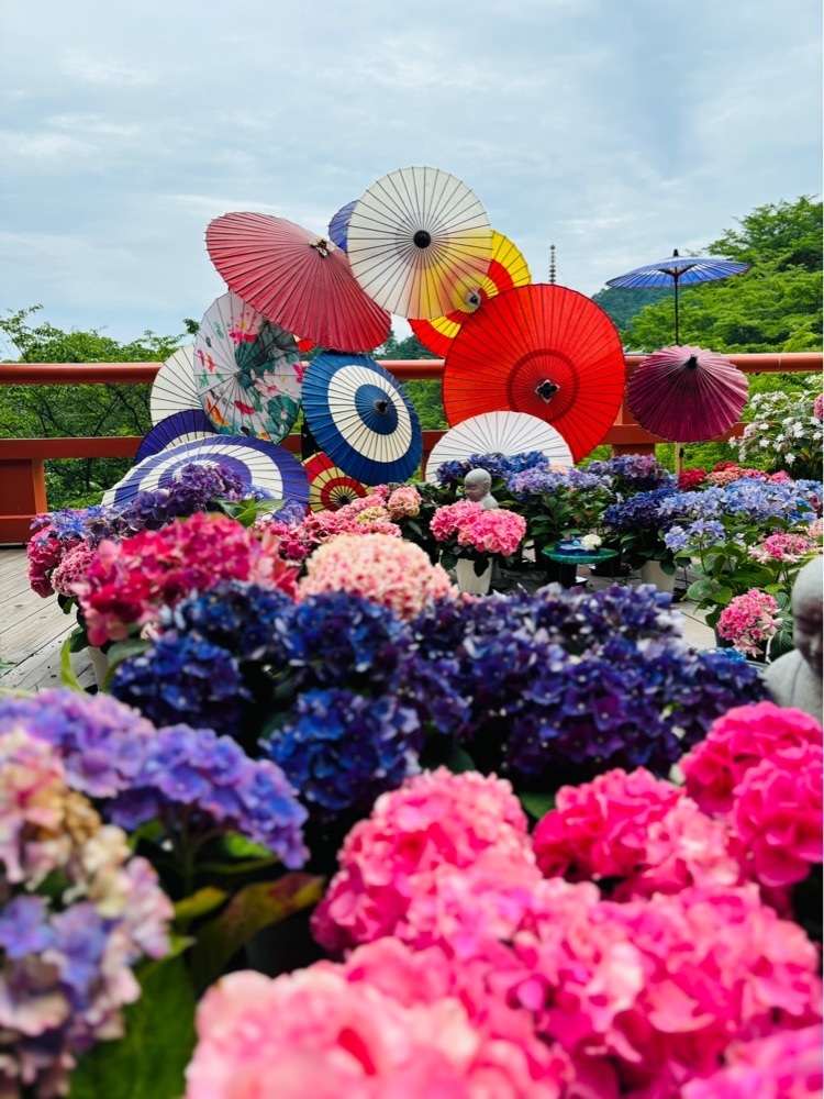 たまさんが投稿した壷阪寺大涅槃石像に関する口コミの画像