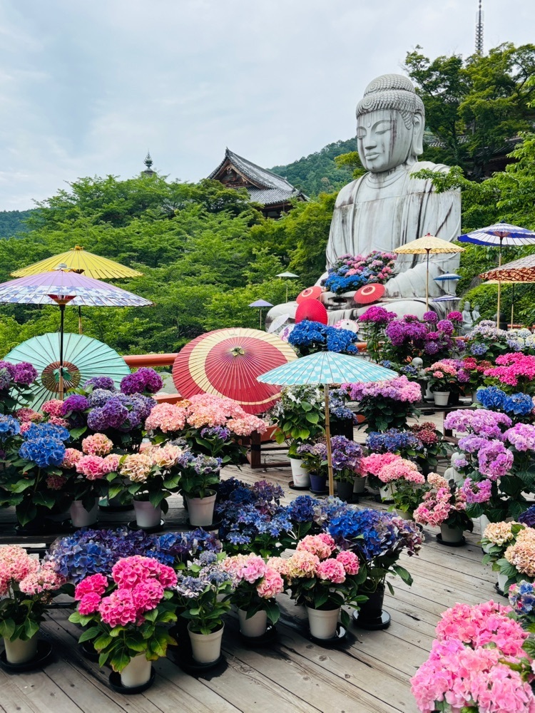 たまさんが投稿した壷阪寺大涅槃石像に関する口コミの画像