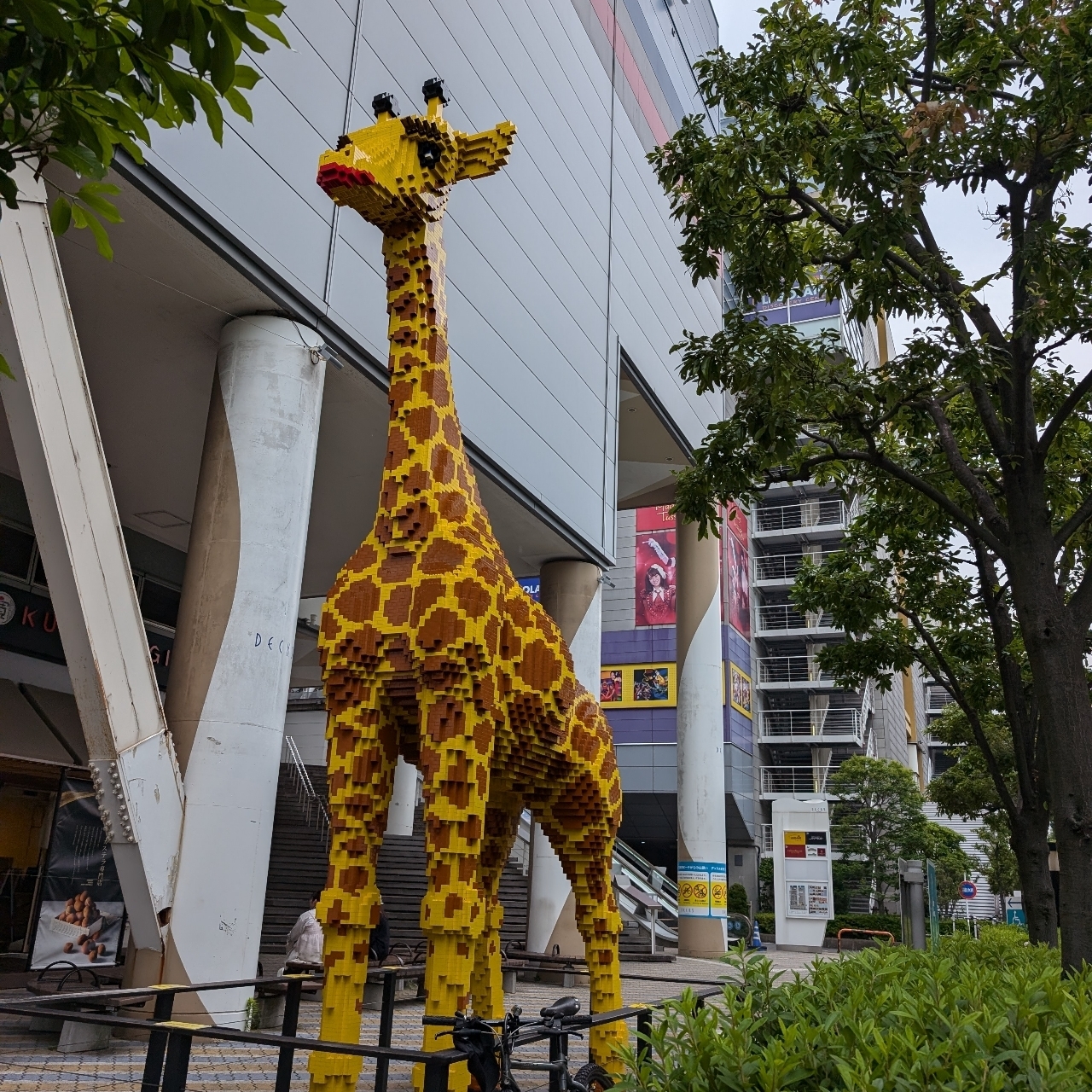 Pさんが投稿した笑笑 お台場海浜公園駅前店に関する口コミの画像