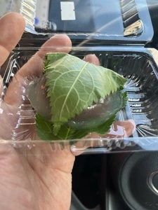甲月堂
