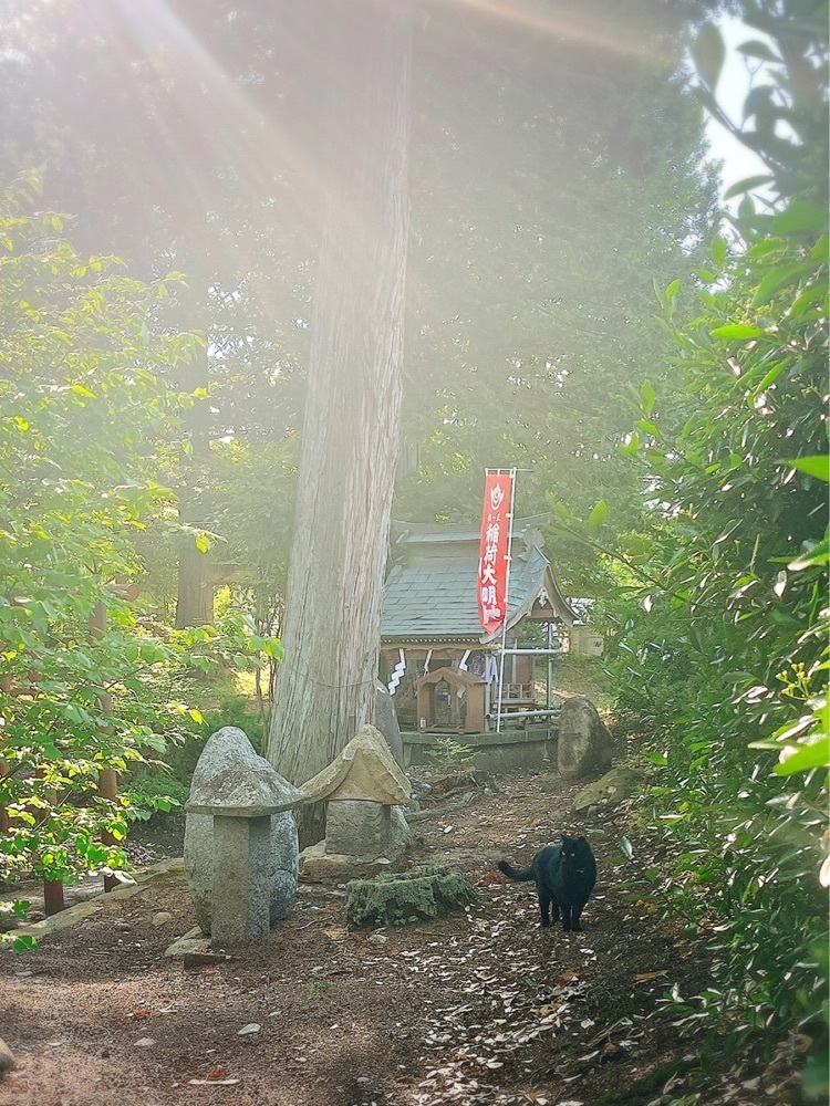 猫なぎ。さんが投稿した豊龍神社に関する口コミの画像