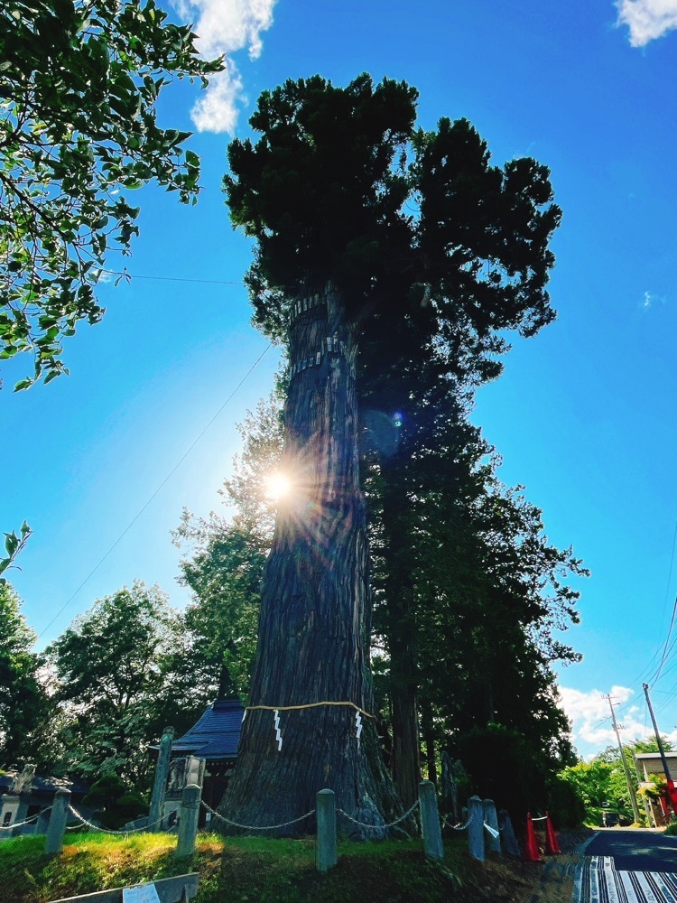猫なぎ。さんが投稿した豊龍神社に関する口コミの画像