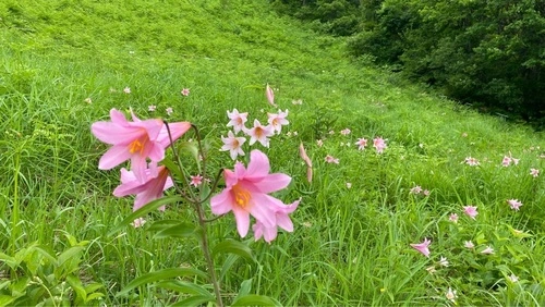 高清水自然公園