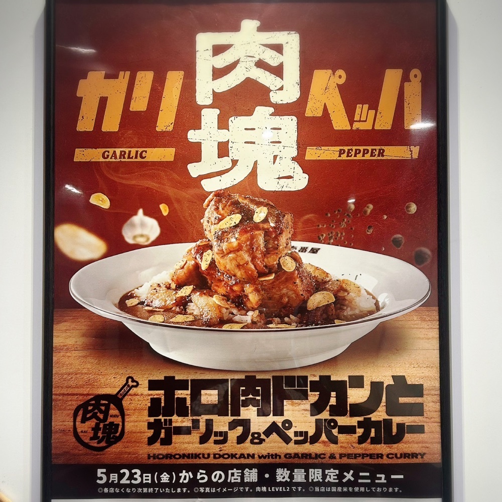 Mr. イリジウム シルバーさんが投稿したカレーハウスCoCo壱番屋 豊明国一店（ココイチバンヤ）に関する口コミの画像