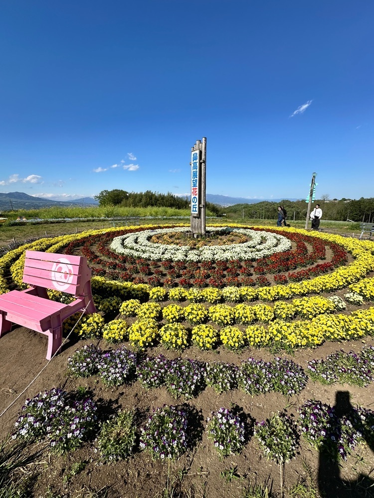 からっ風②さんが投稿した鼻高展望花の丘に関する口コミの画像
