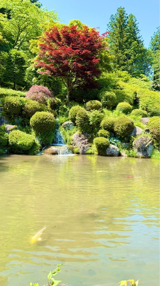 miiさんが投稿した日光東照宮宝物館に関する口コミの画像