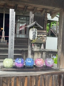 極楽寺のあじさい