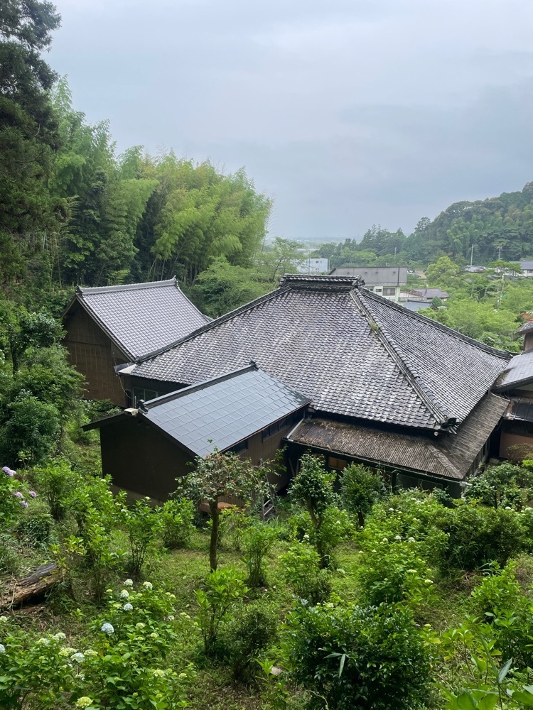 hirokororinさんが投稿した極楽寺のあじさいに関する口コミの画像
