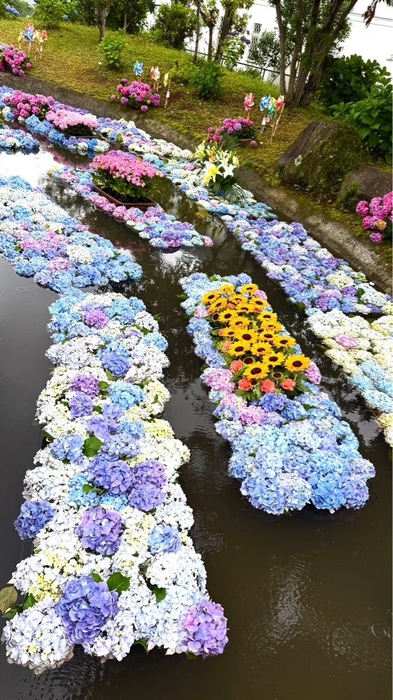 ぺたこ♡さんが投稿したあじさい公園に関する口コミの画像