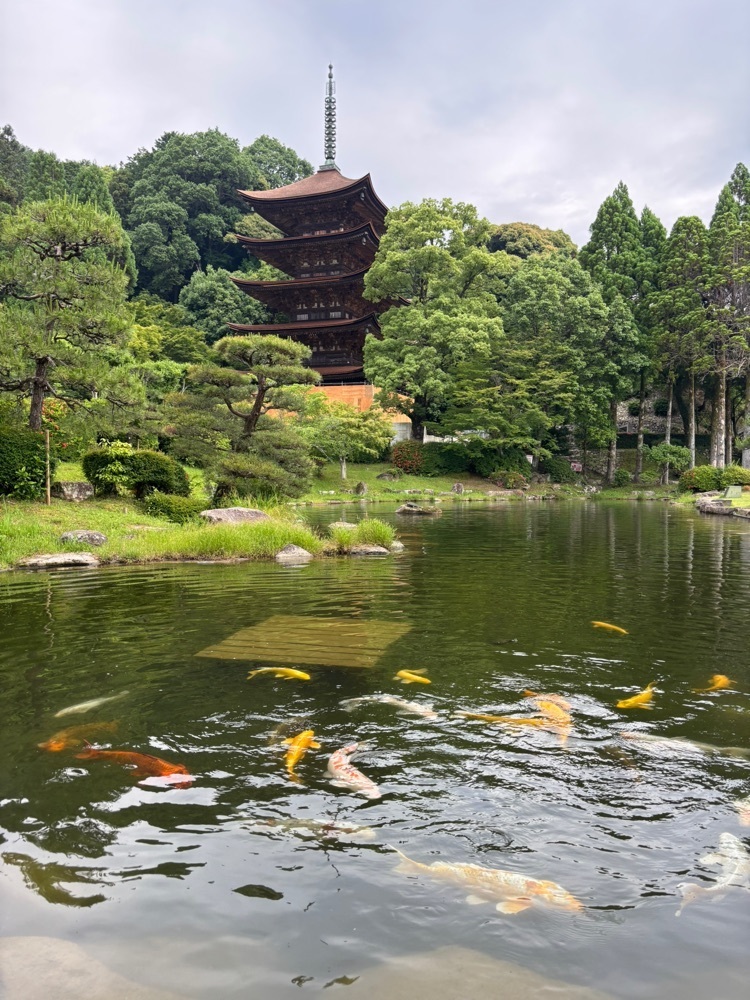 みーなさんが投稿した瑠璃光寺五重塔【香山公園】に関する口コミの画像