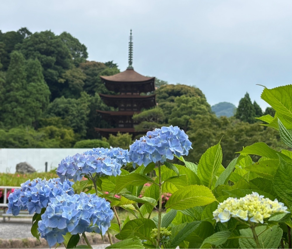 みーなさんが投稿した瑠璃光寺五重塔【香山公園】に関する口コミの画像