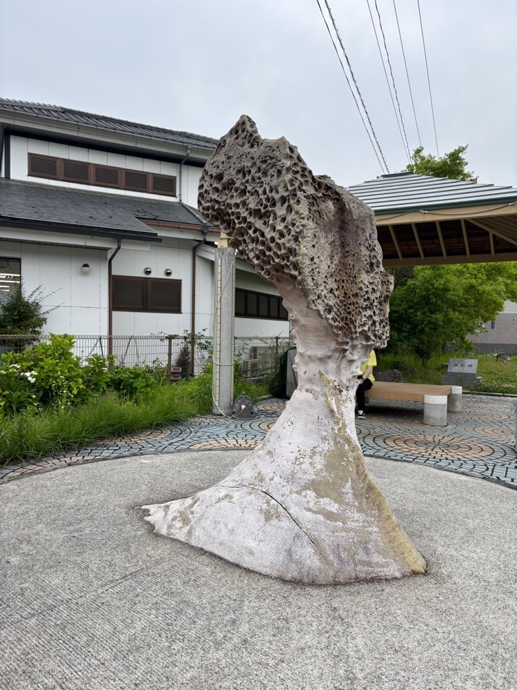 みーなさんが投稿した観光会館 安富屋 レストラン（やすとみや）に関する口コミの画像