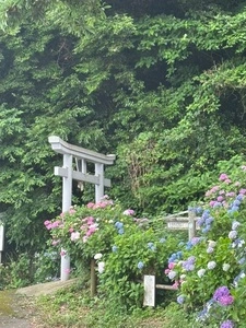 住吉自然公園