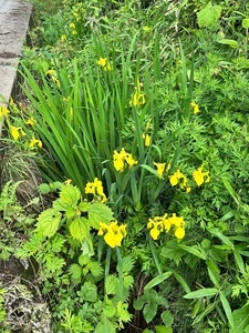 薄根地域ふるさと創生推進協議会
