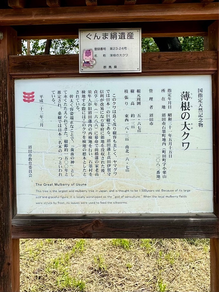 からっ風②さんが投稿した薄根の大クワに関する口コミの画像