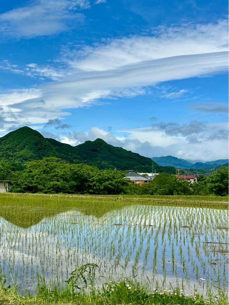 からっ風②さんが投稿した薄根の大クワに関する口コミの画像