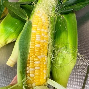 鈴木農園