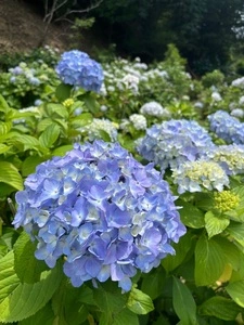 須恵町立皿山公園