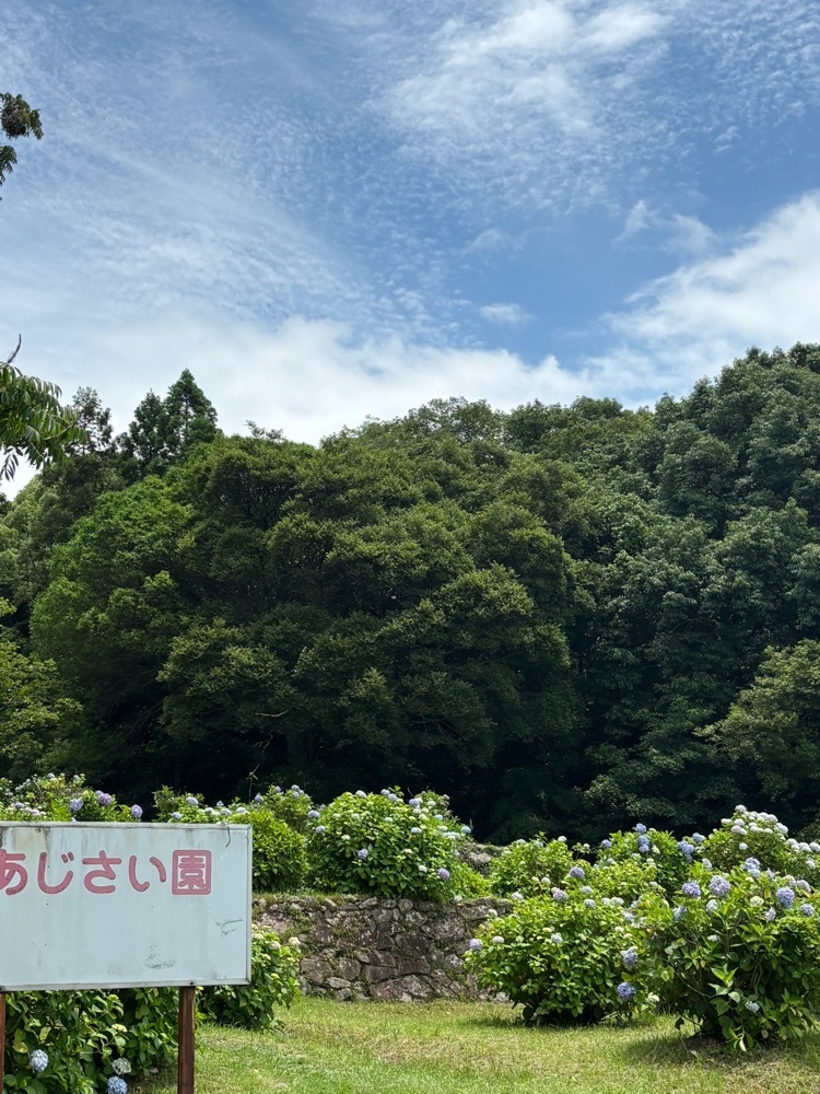 luckyさんが投稿した須恵町立皿山公園に関する口コミの画像