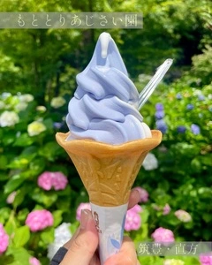 もととりあじさい園