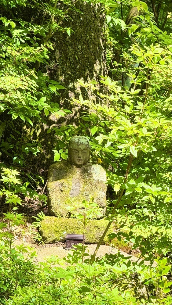 miiさんが投稿した山内茶寮 大光坊（SANNAISARYO TAIKOBO）に関する口コミの画像