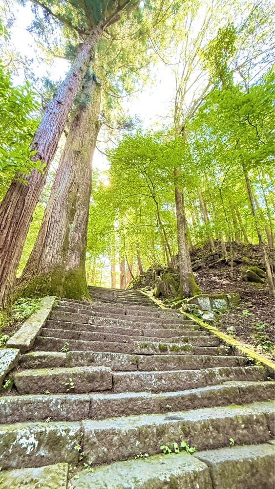miiさんが投稿した白糸の滝に関する口コミの画像