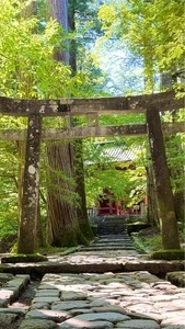 白糸の滝