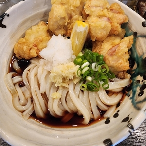 たけうちうどん店