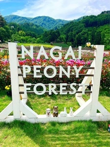 長井あやめ温泉桜湯
