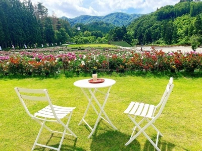 長井あやめ温泉桜湯