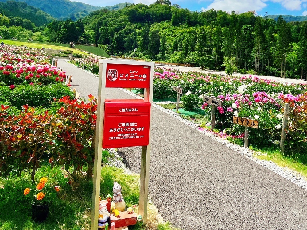 猫なぎ。さんが投稿した長井あやめ温泉桜湯に関する口コミの画像